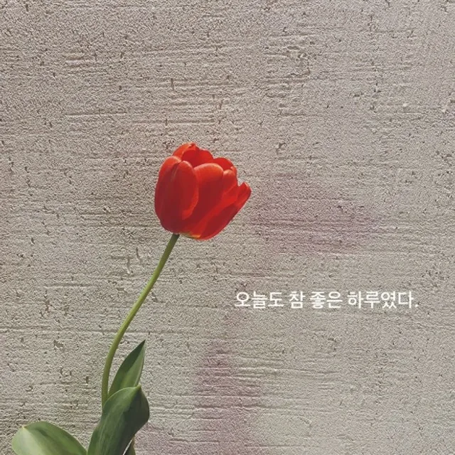 통큰세지맘