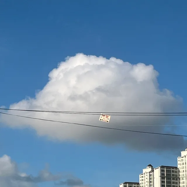 팝콘