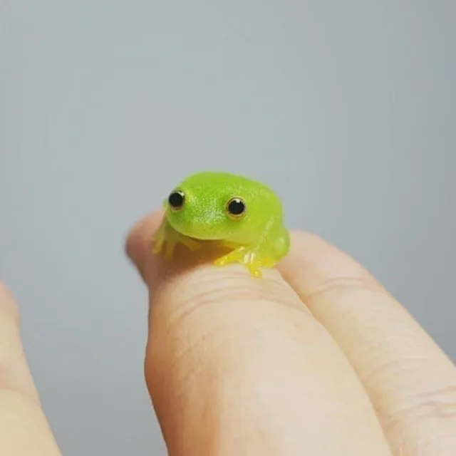 사막여우