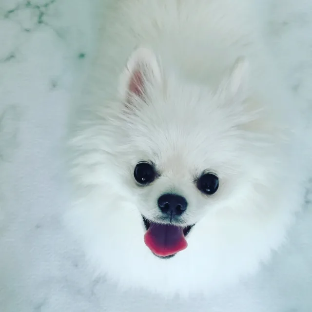 으랏차