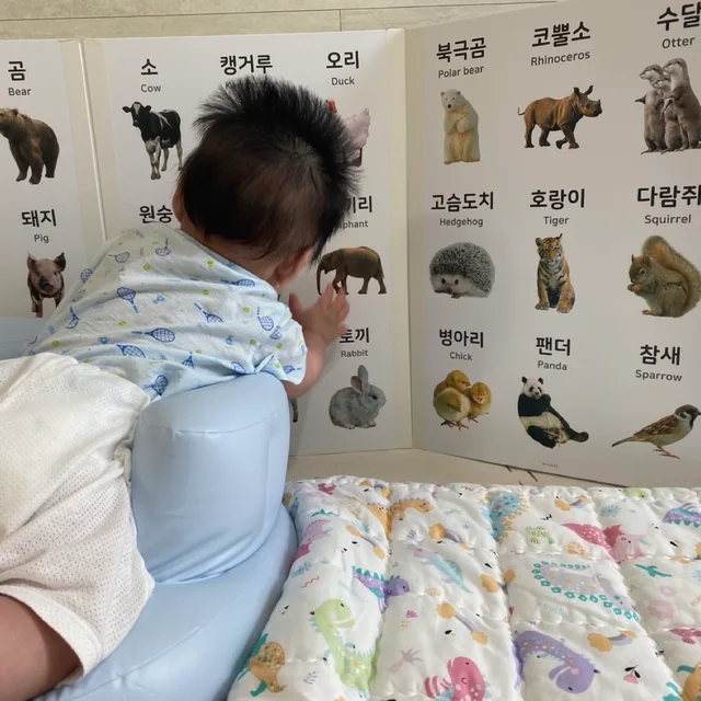 뮤즈