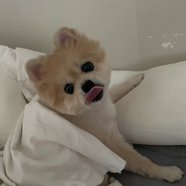 치치링