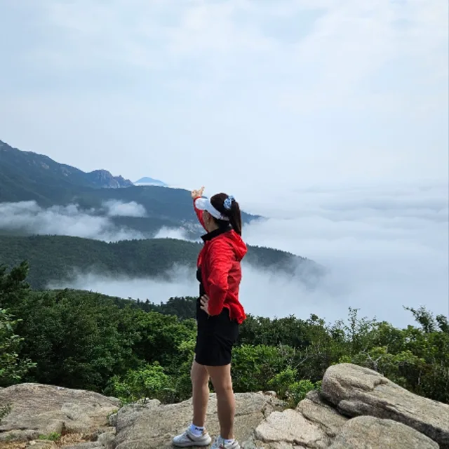 후리지아