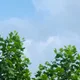리리