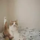 산책