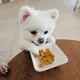 바다공주님