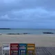 해바라기