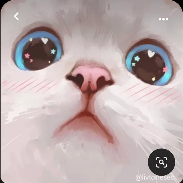 코코랑