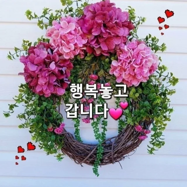 짱이