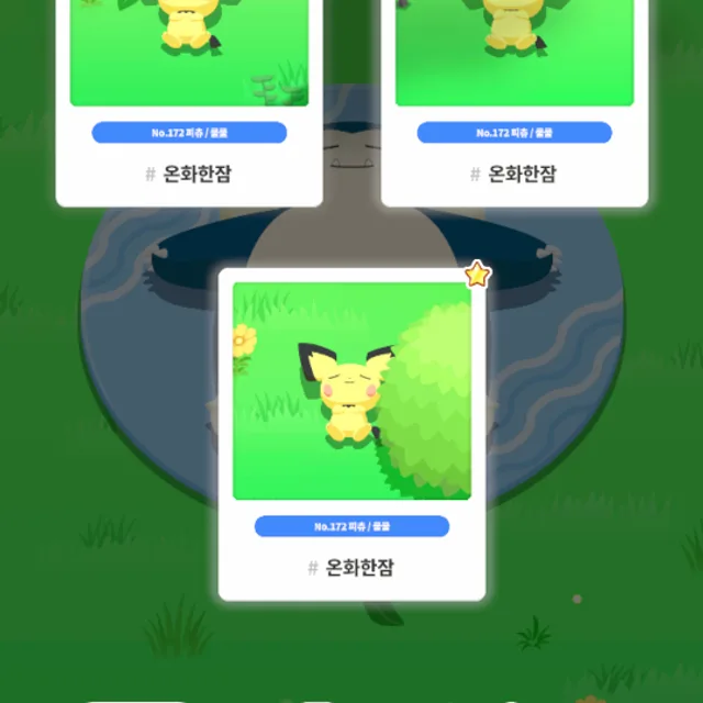 하루살이
