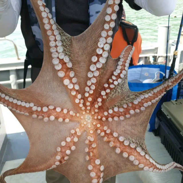 블랙커피
