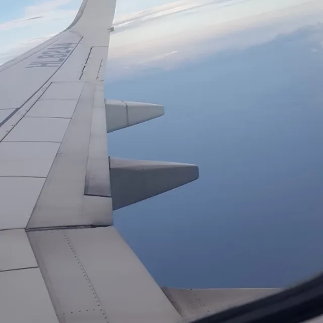 저렴히드려요둘러보세요