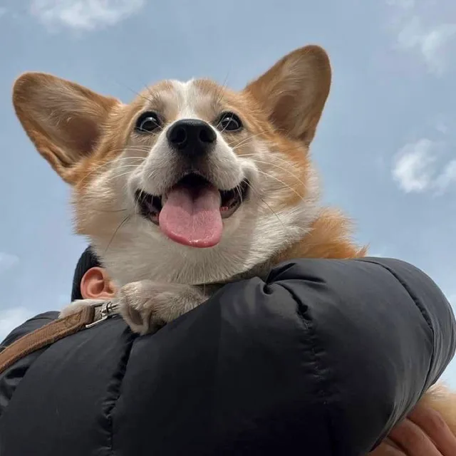 연우
