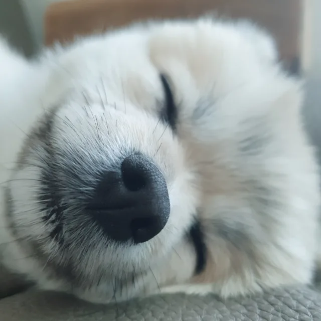 헬로우우우