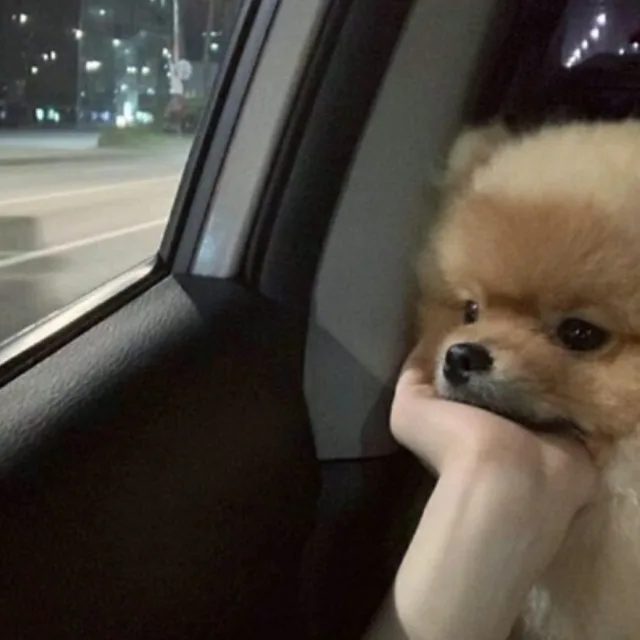 옴뇸뇸