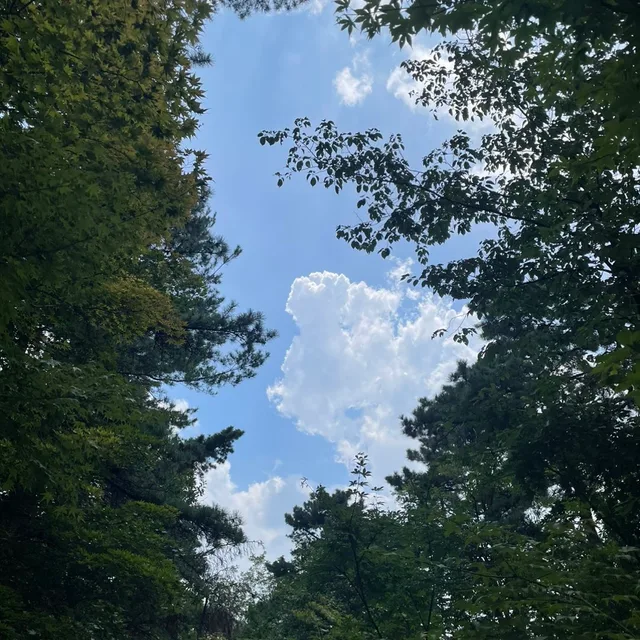 럭키유