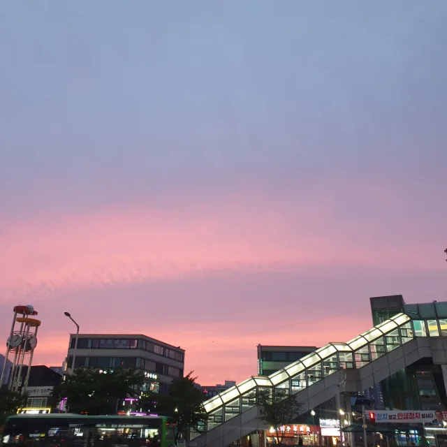 카터