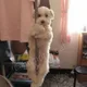 단짱