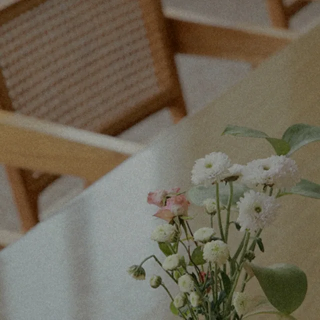 팬지