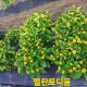 강가에서