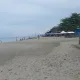 물마시는곰