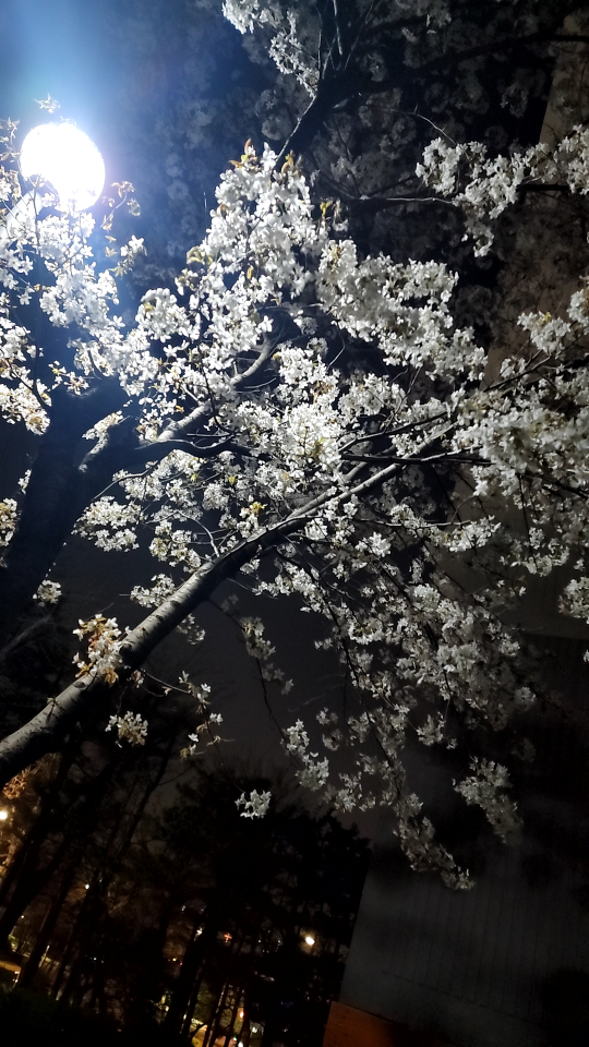 이긍정