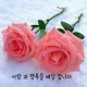 이쁜이