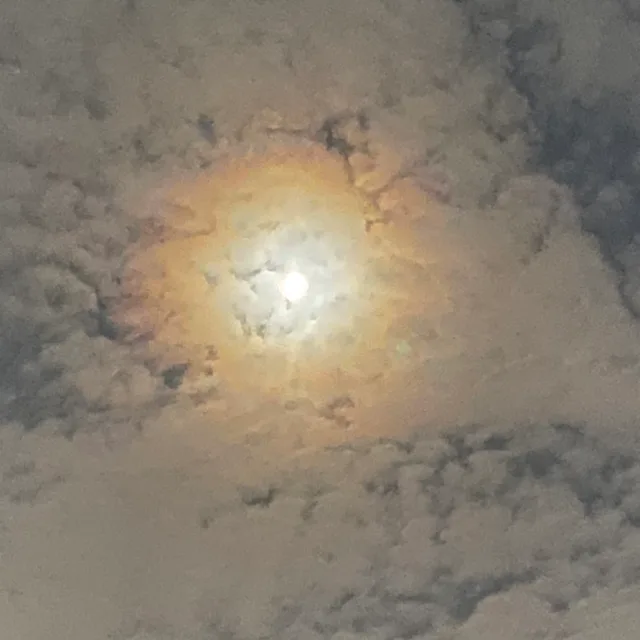서천님