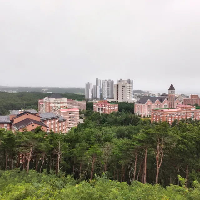 타렉