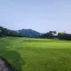 비우는중