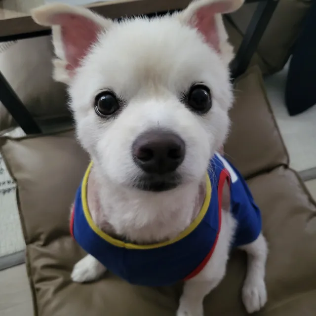 름달이