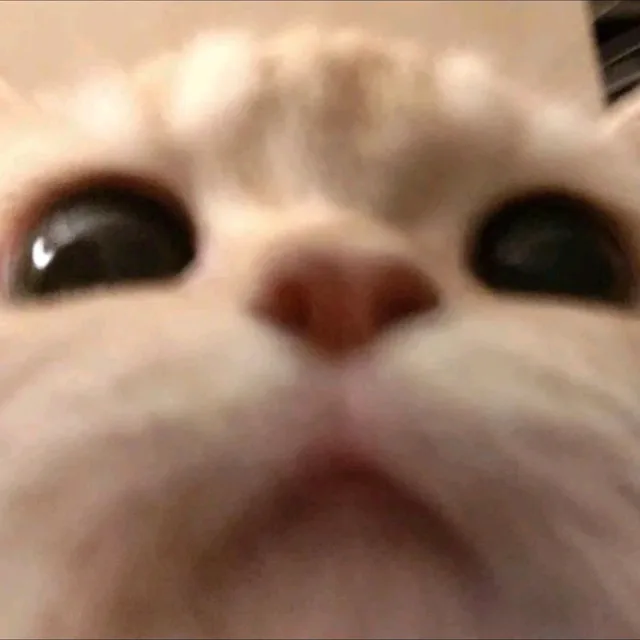 퐁듀