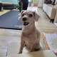 꾸러기