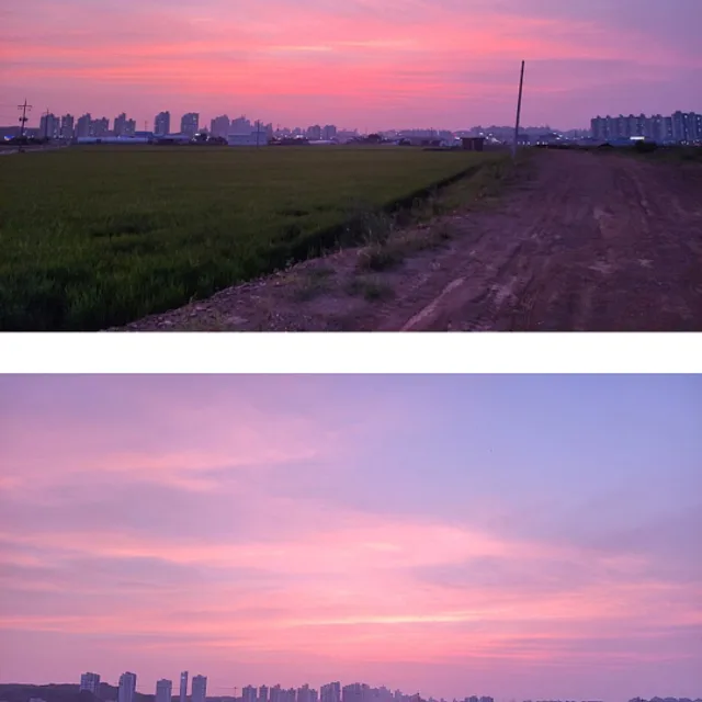 허브