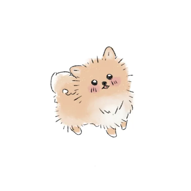 쬬이