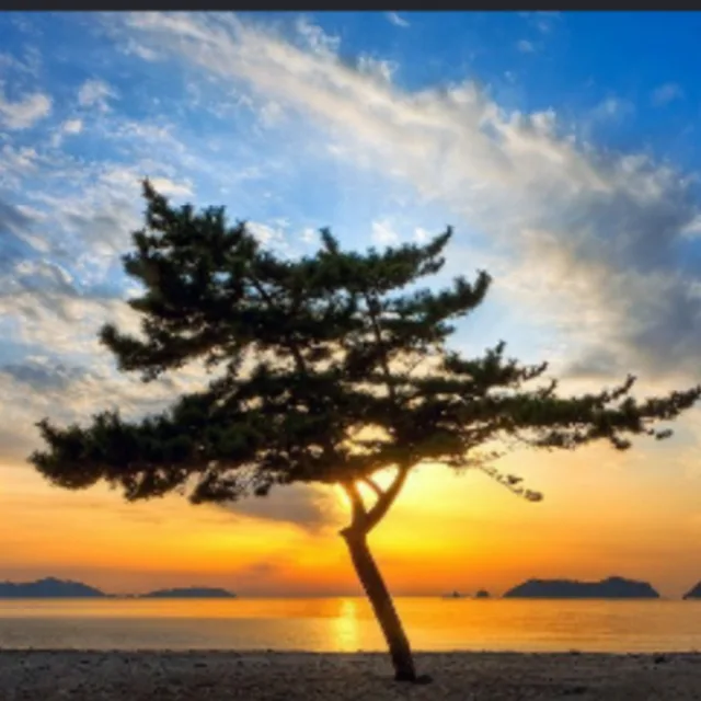 돵근