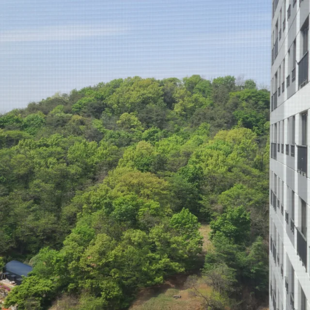 피앙새
