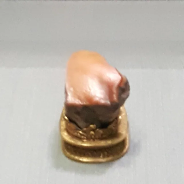 재우짱