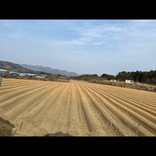 히히호호