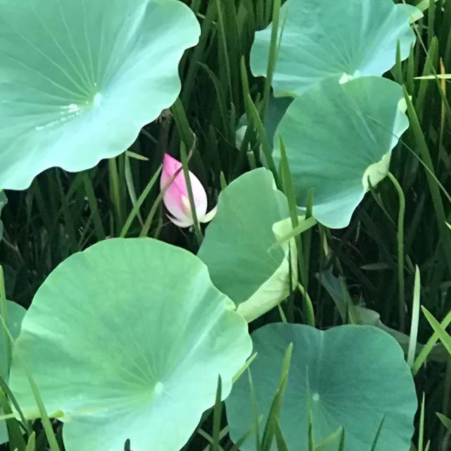별이맘