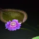 당근매력