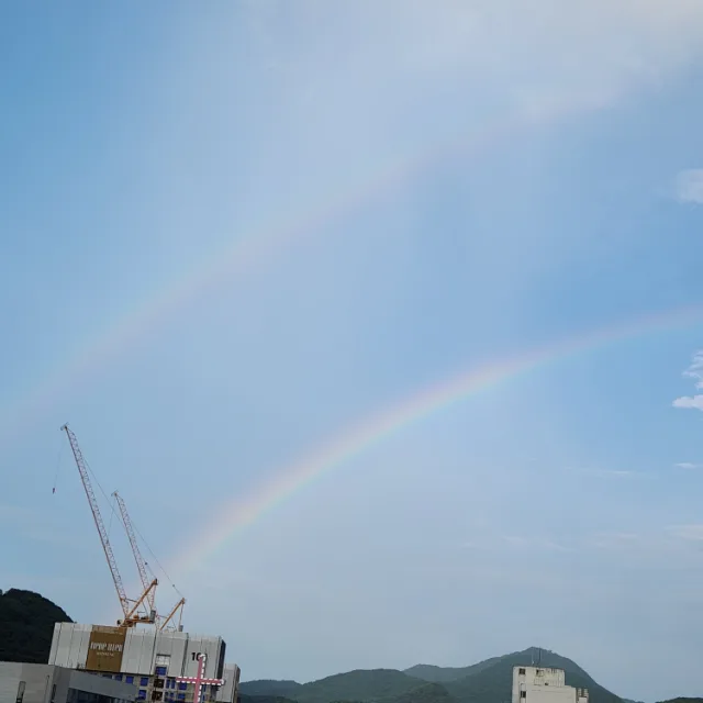 사막여우