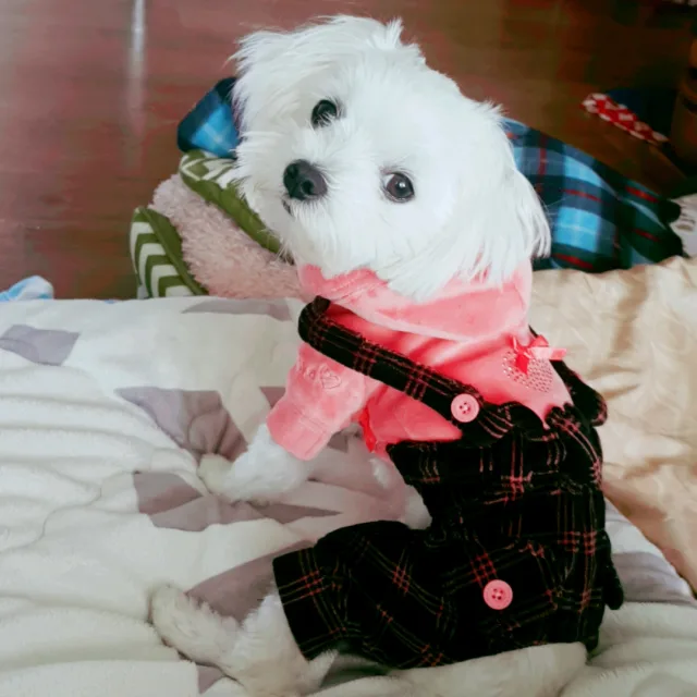 휘앤연희