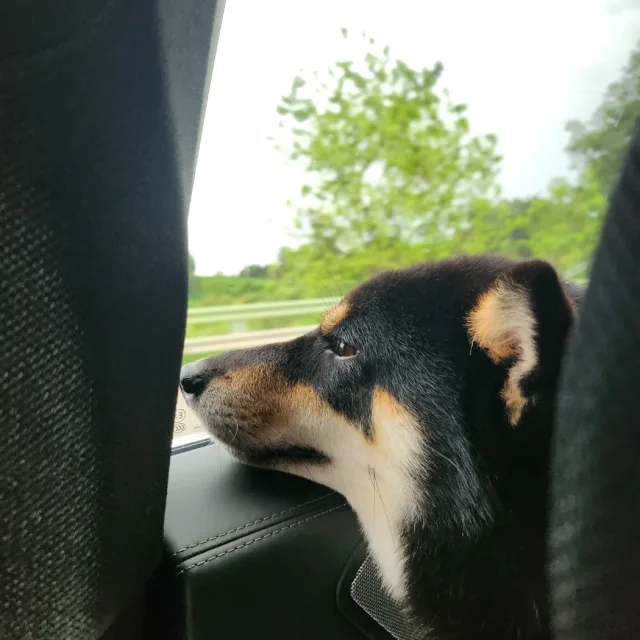 profile