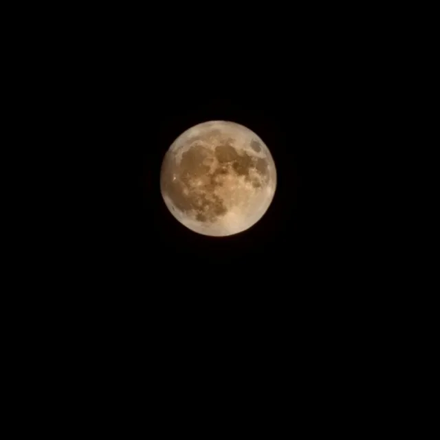 제라엄마