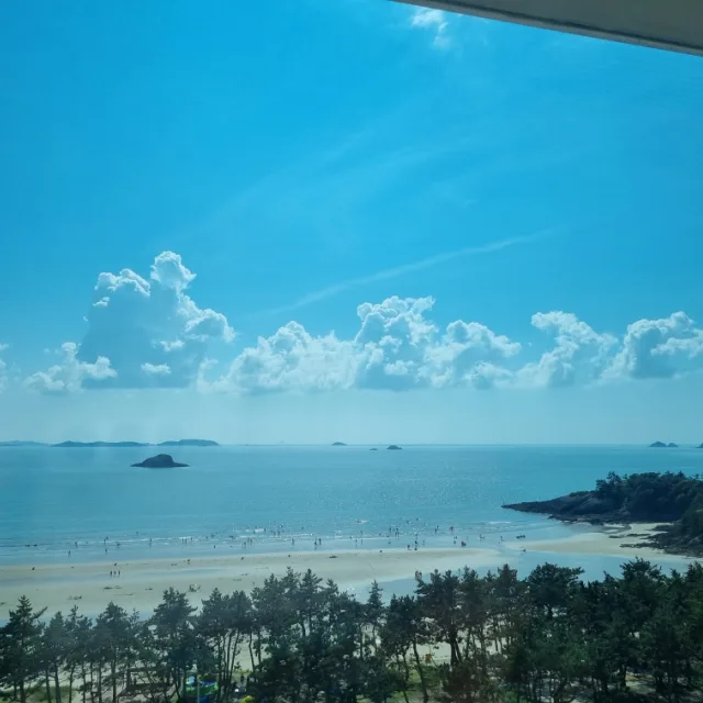 당근의신