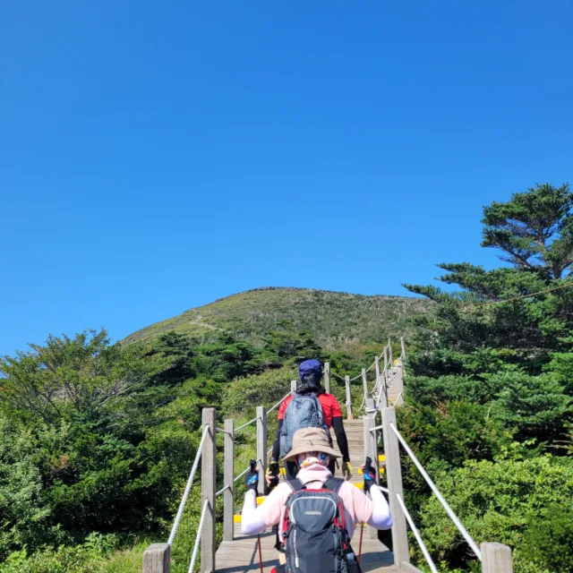 오드리