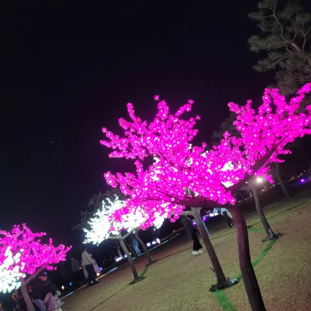 앵두