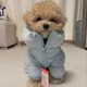 김블리