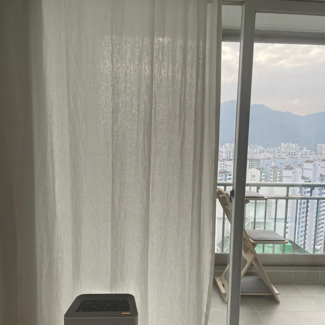 올정